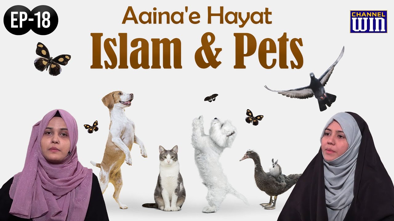 Aaina'e Hayaat || Episode 18 || Islam And pets || Zakira Azmi Zahra || Nazar Fatema