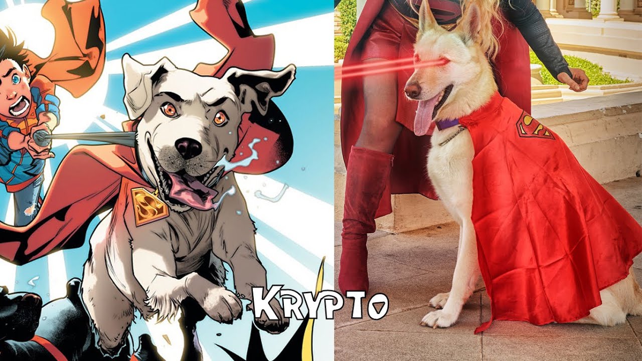 DC Characters in Real Life | Krypto, Lady Shiva, Lex Luthor, Lightning, Lobo, Lucifer