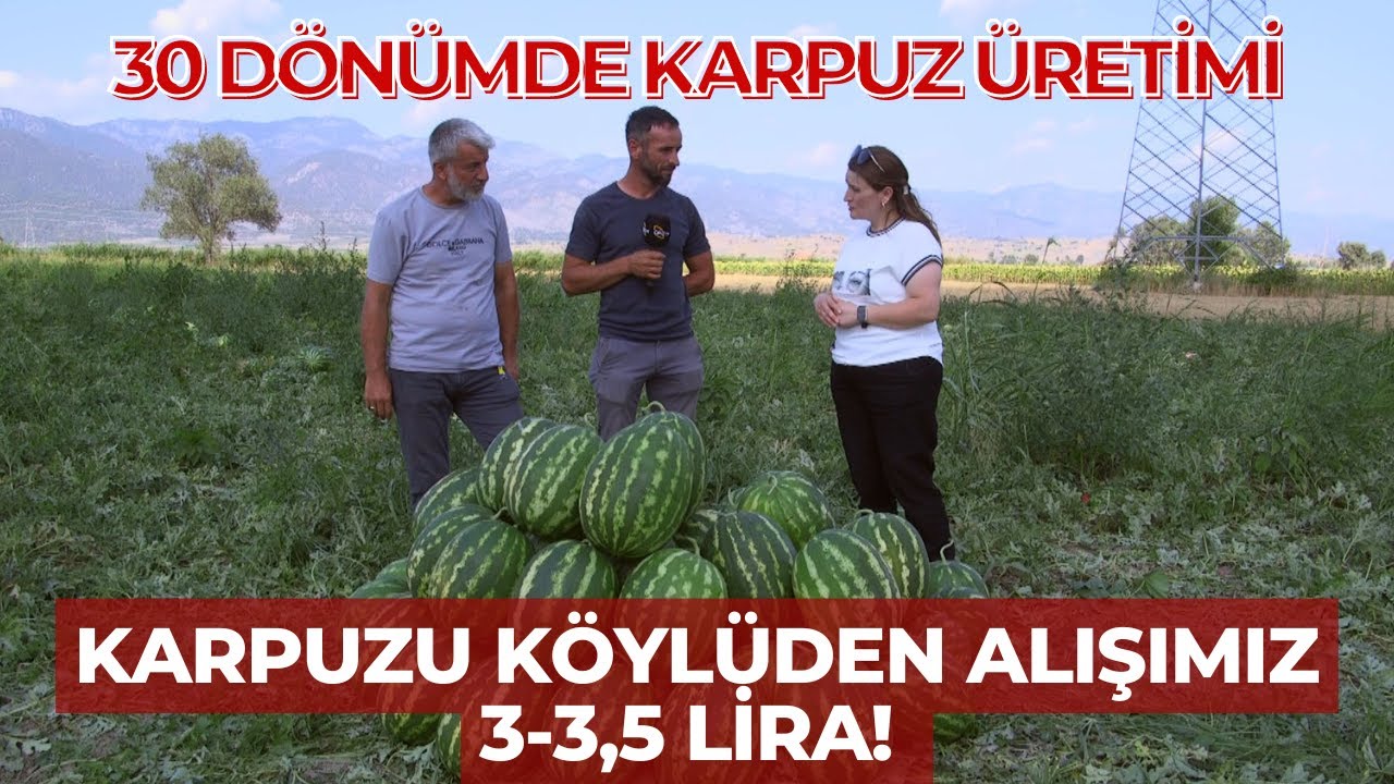 Karpuzu Köylüden Alışımız 3-3,5 Lira!
