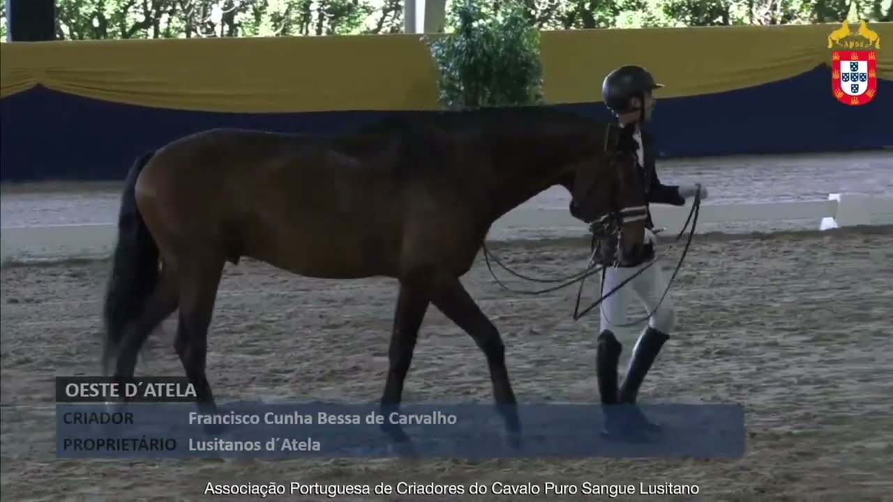 240127 41 Oeste D´Atela - Aprovação de Reprodutores