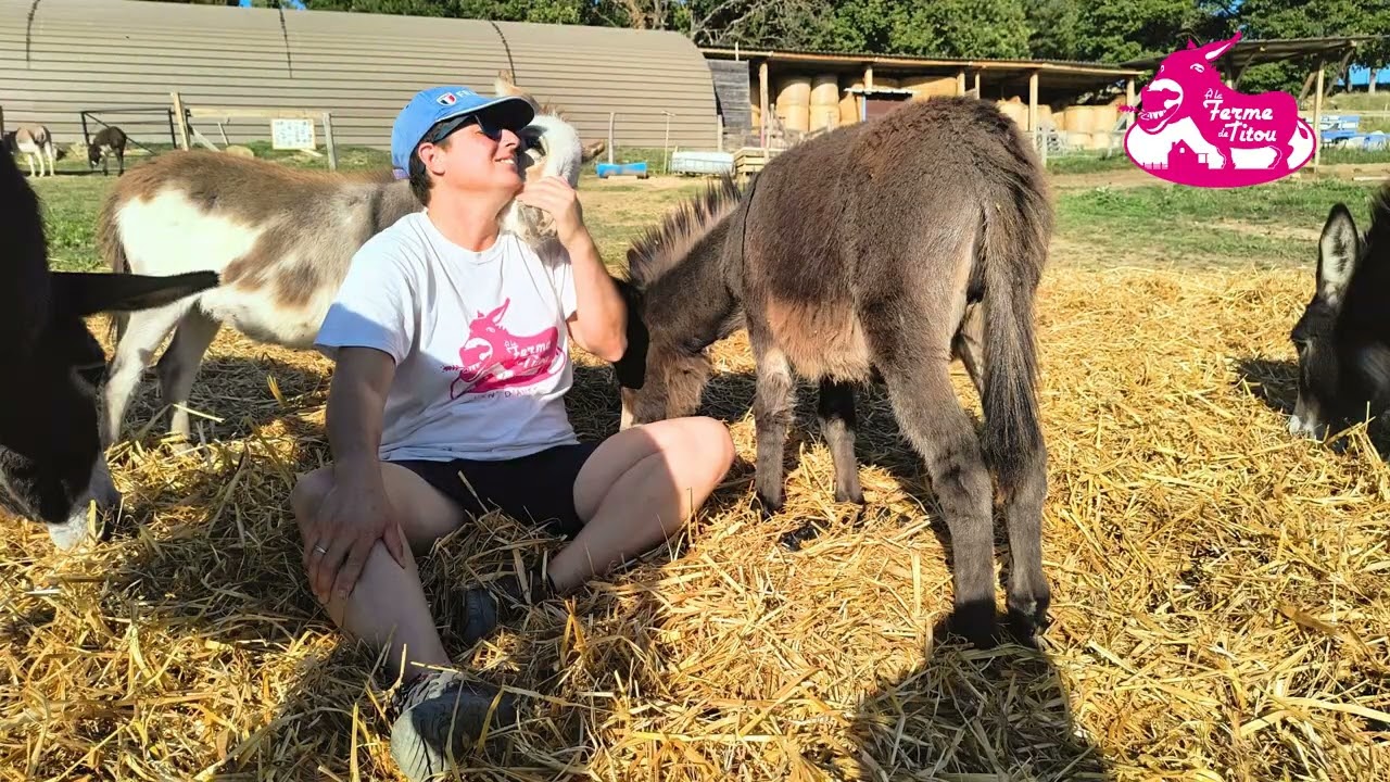 Ferme découverte A la Ferme de Titou - janvier 2026