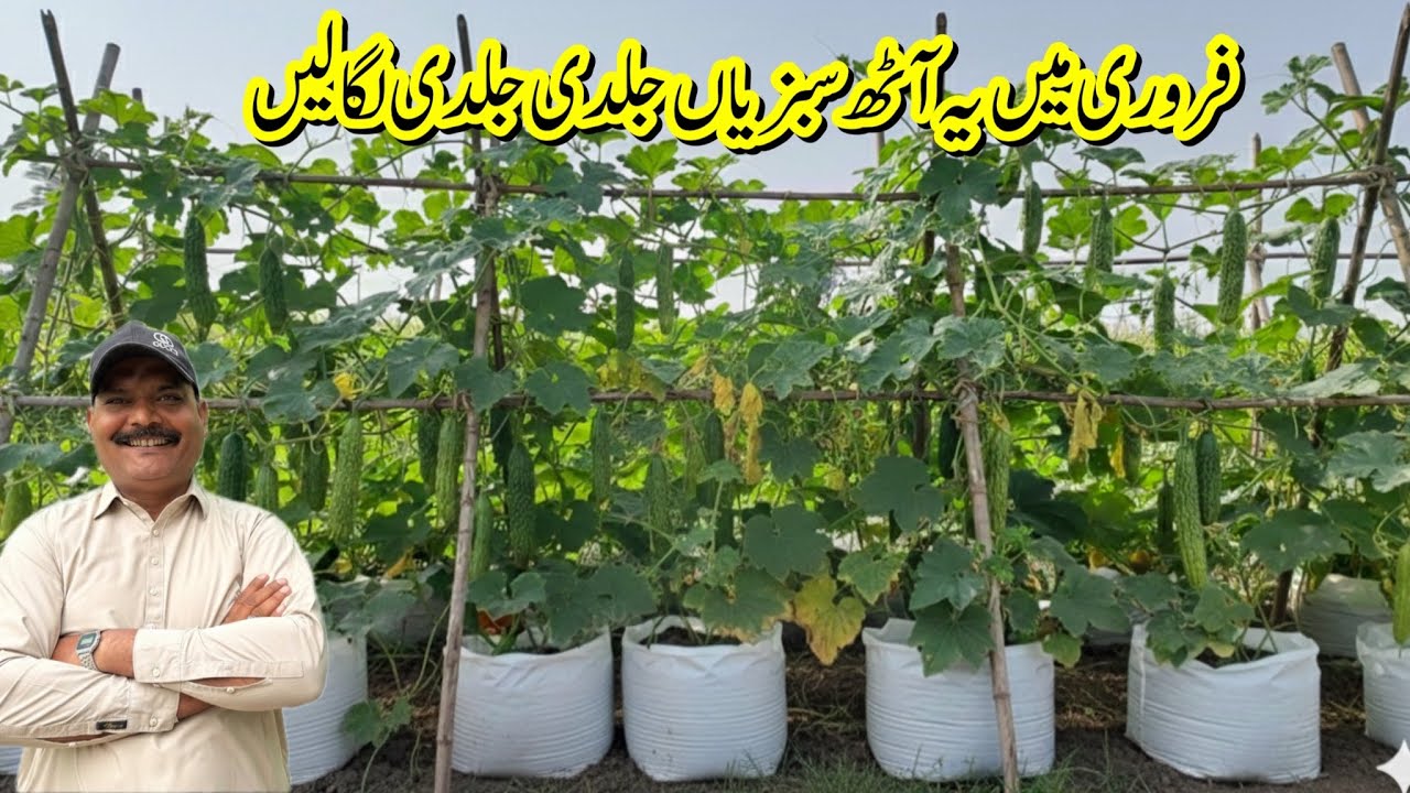 Don’t Late February moth mai 8 Spring Vegetables Jaldi Jaldi Laga Le | Spring Season vegetables 