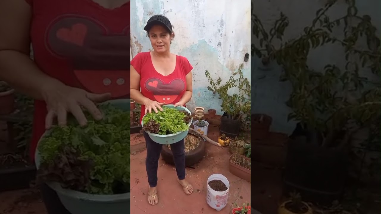 Erros de plantação 