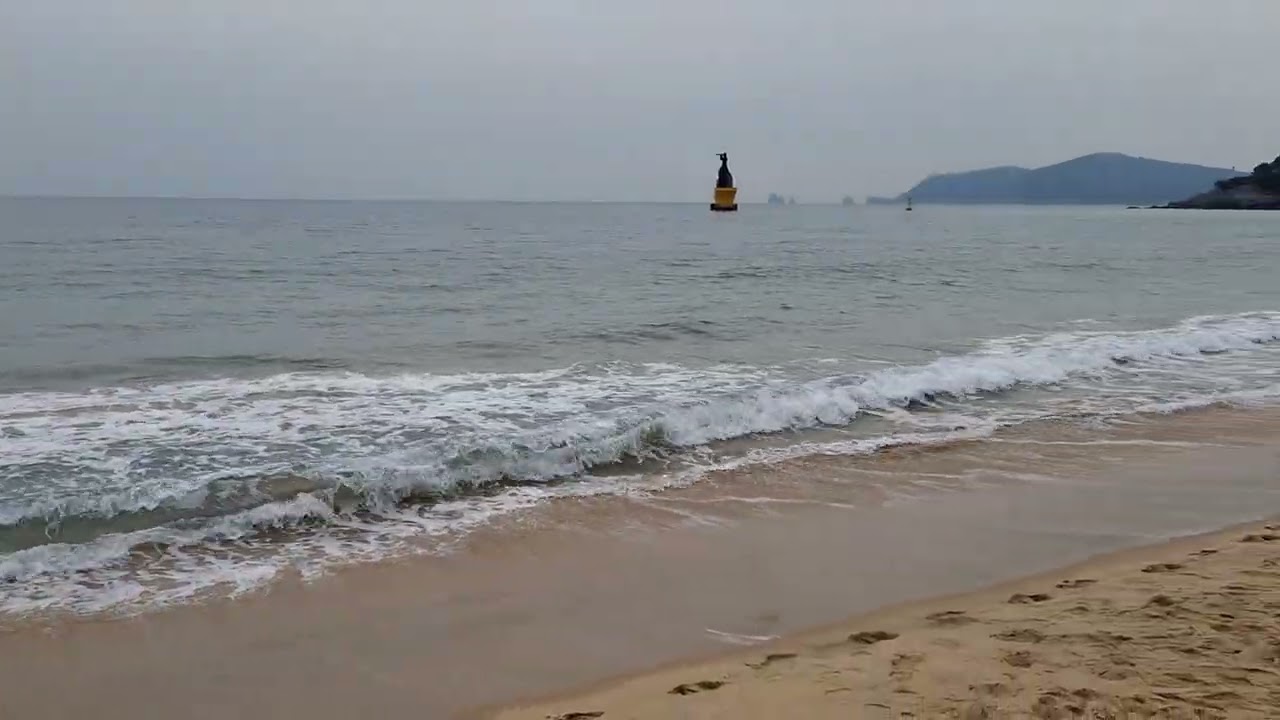 2026년 2월 15일