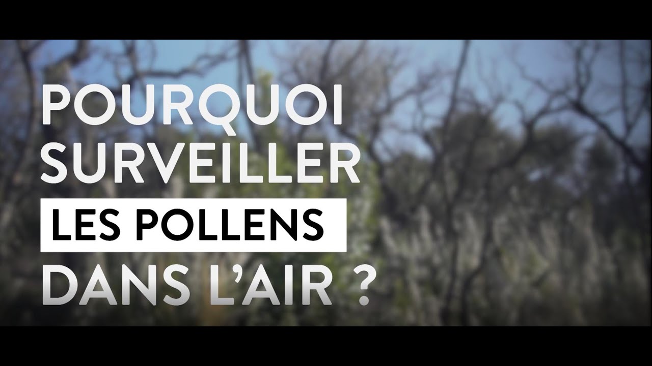 La surveillance des pollens par le réseau des AASQA