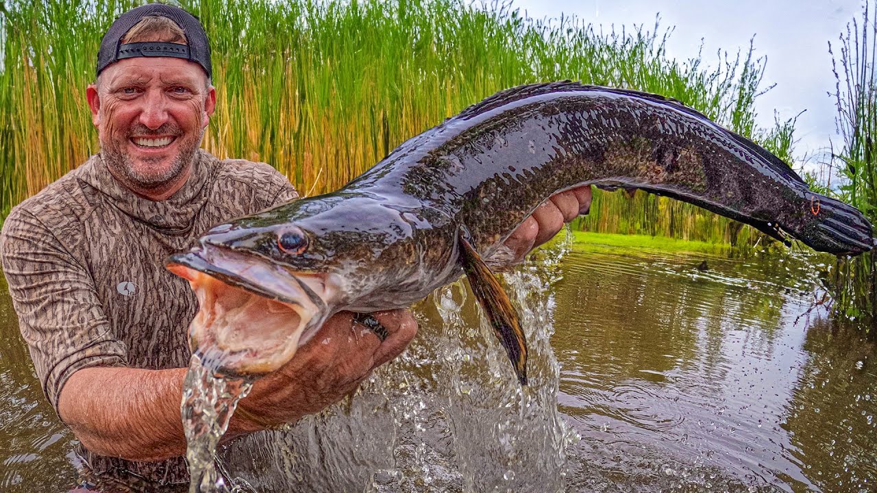 These fish have TAKEN OVER South Florida! {Catch Clean Cook}