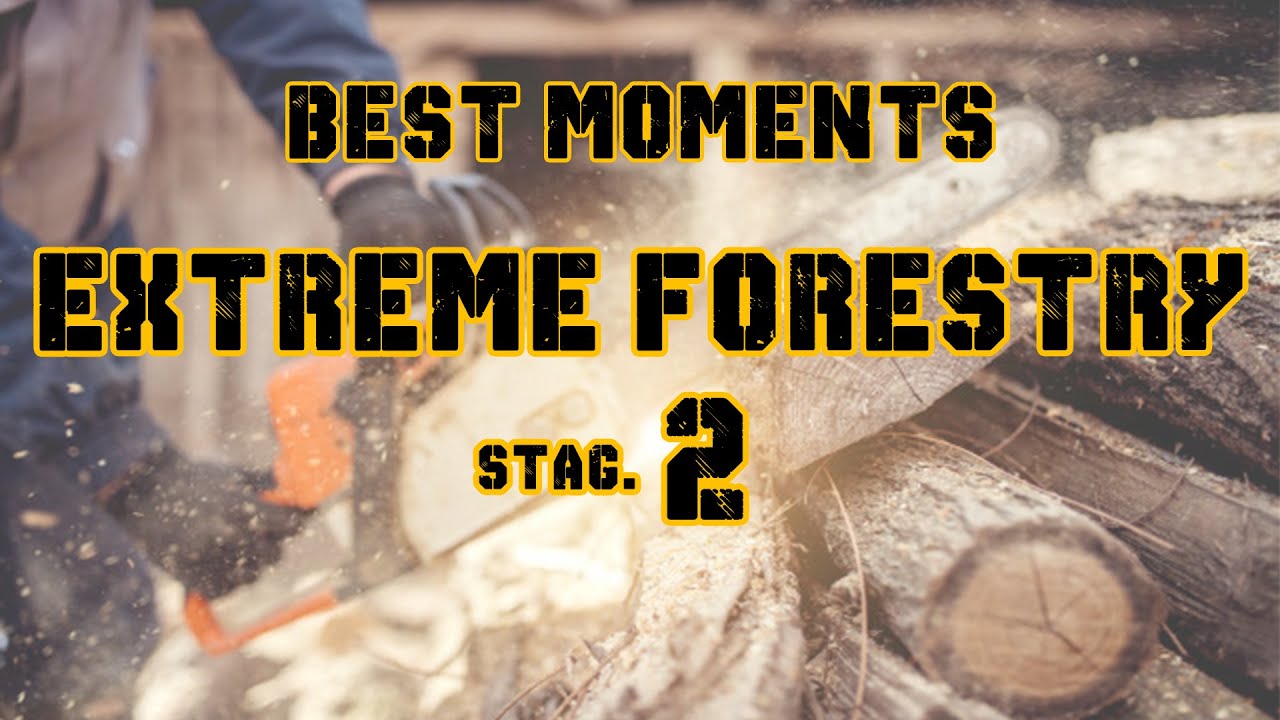 I MOMENTI MIGLIORI DELLA EXTREME FORESTRY STAG. 2 PRIMA PARTE | ALEXFARMER