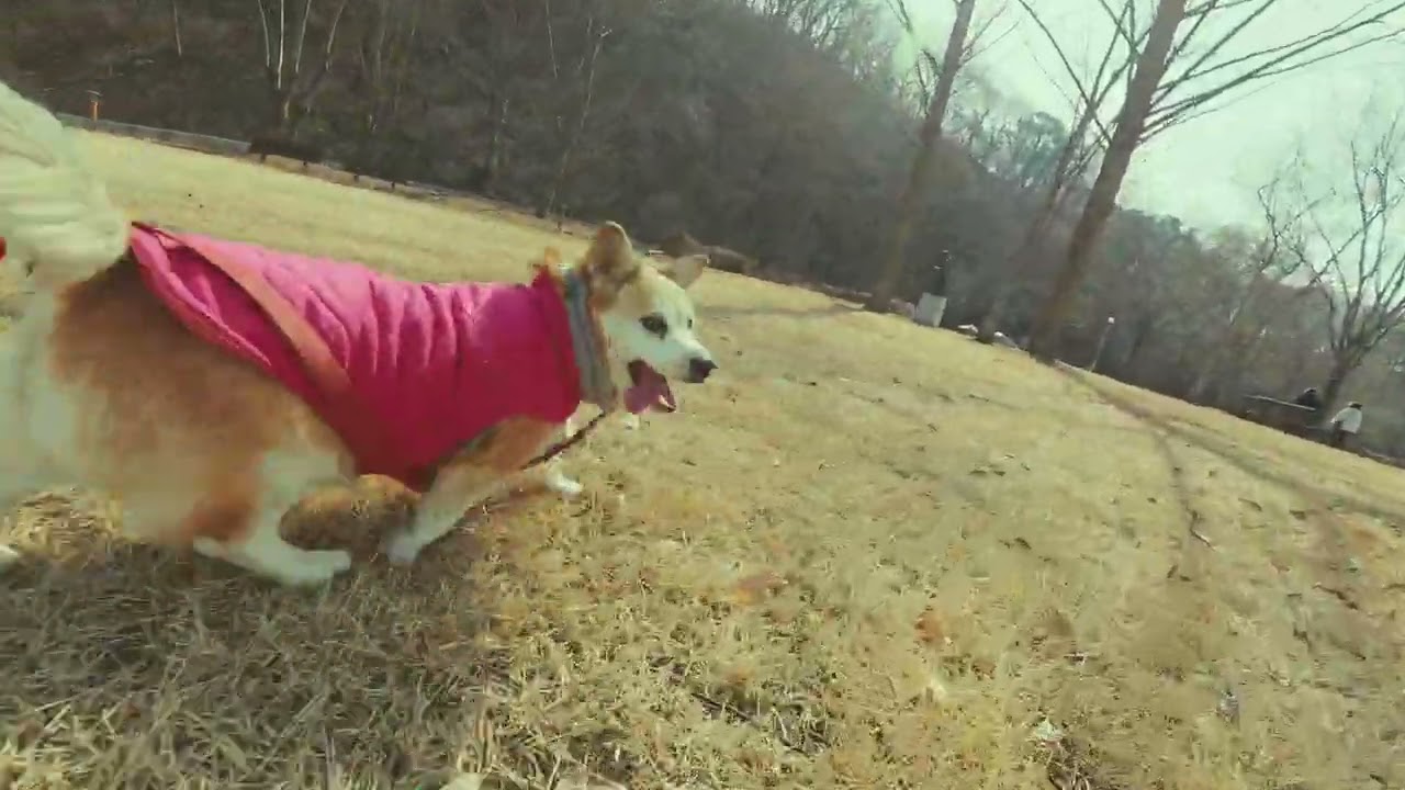 20260216 관촌사선대 로사