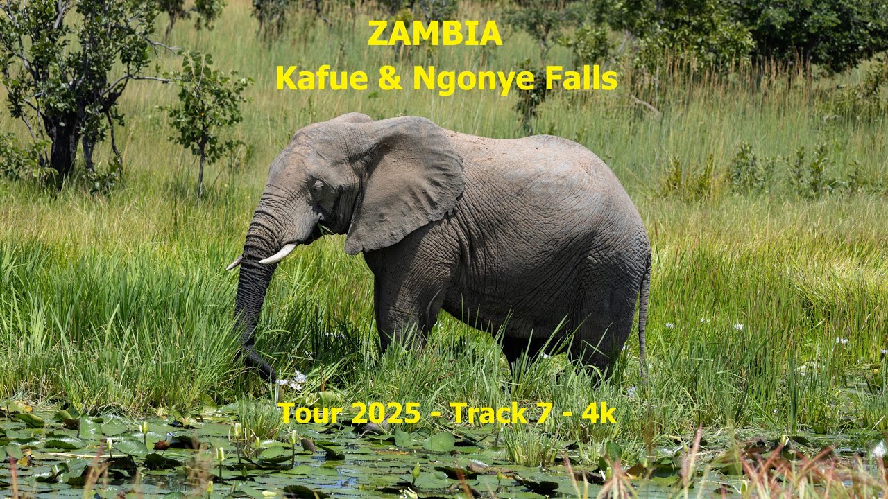 Tour 2025 - Track 7 - Amazing Zambia - Kafue NP and Ngonye Falls - 4k