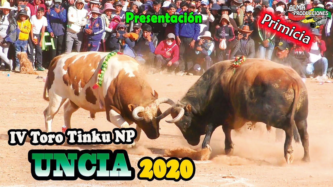 Toro Tinku de UNCIA 2020. Presentación(Video Oficial) de ALPRO BO.