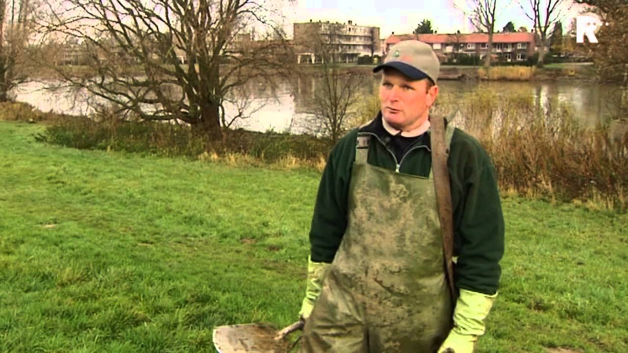 Mollenklemmen risico voor de loslopende hond +VIDEO