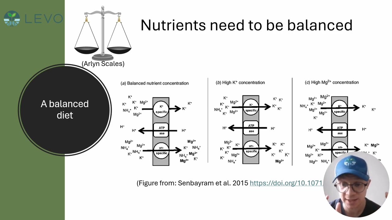 Hydroponic Fertilizer Explained Part 1