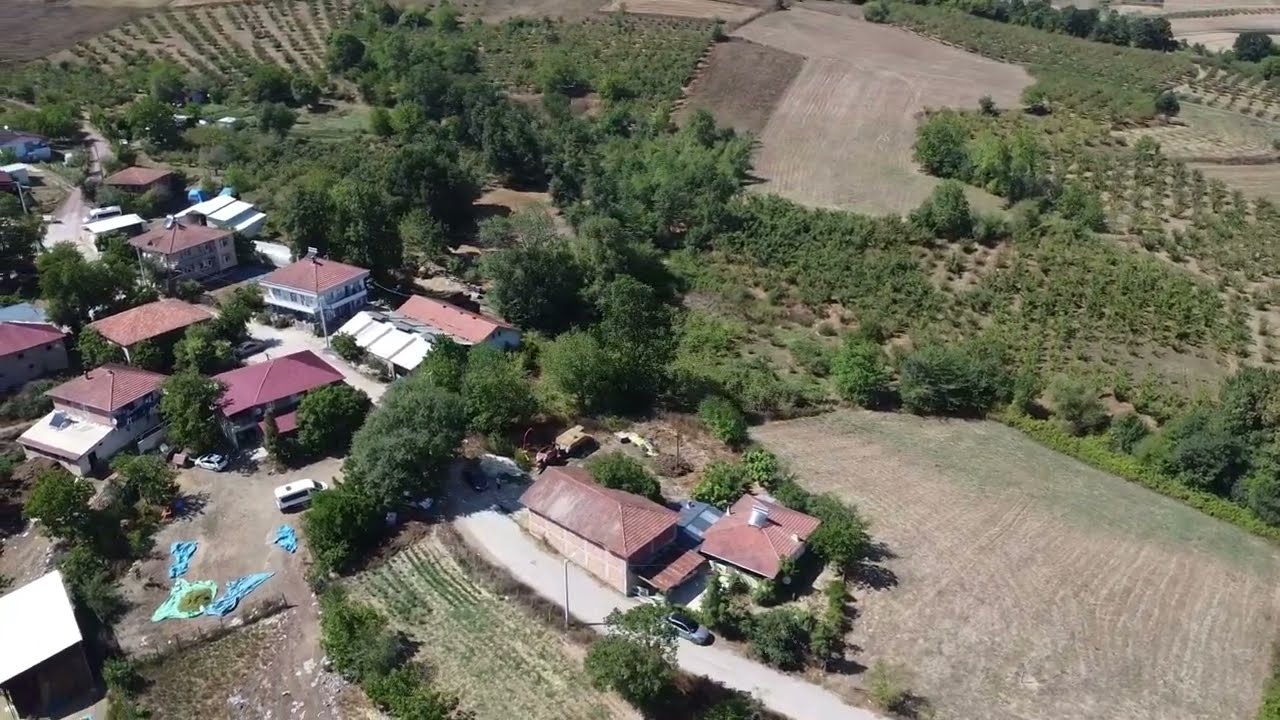 🌿 Köy Hayatı İçin İdeal! Kandıra Topluca’da Fındık Bahçeli Satılık Arazi