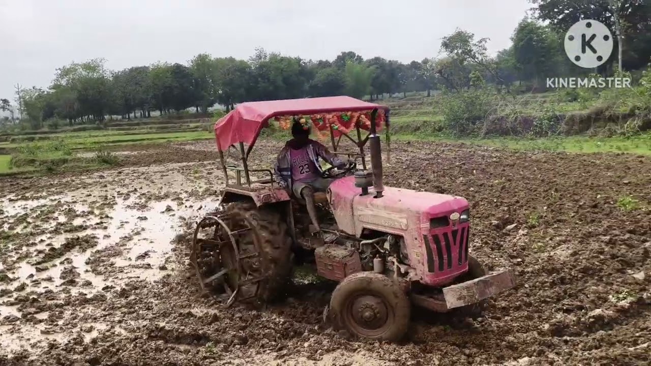 Mahindra tractor se jutae Dhan🌾🌾 buwae ke liye with casewheel #mahindratractor#agriculture #farming