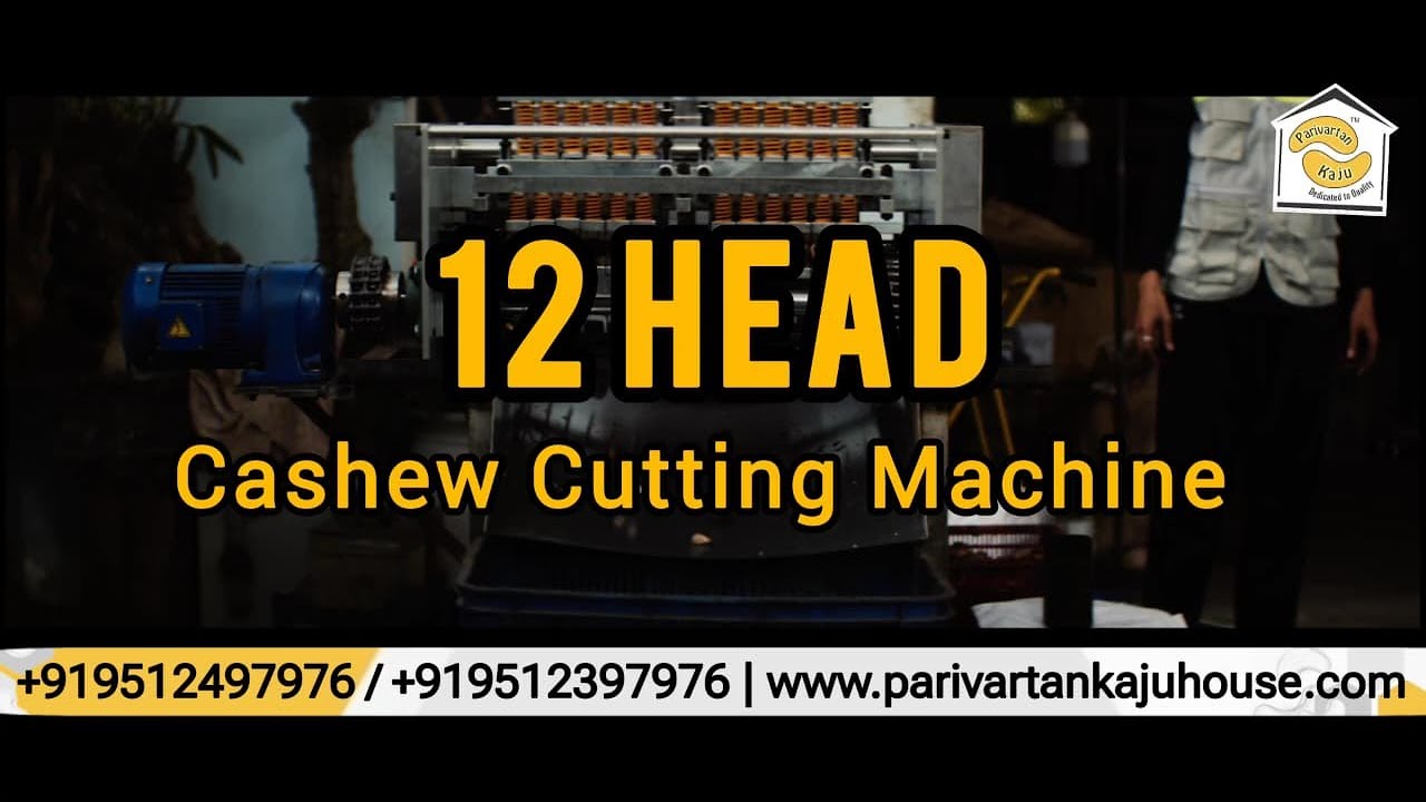 12 Head Cashew Cutting Machine | Cashew Shelling Machine | Automatic Cashew Cutting Machine