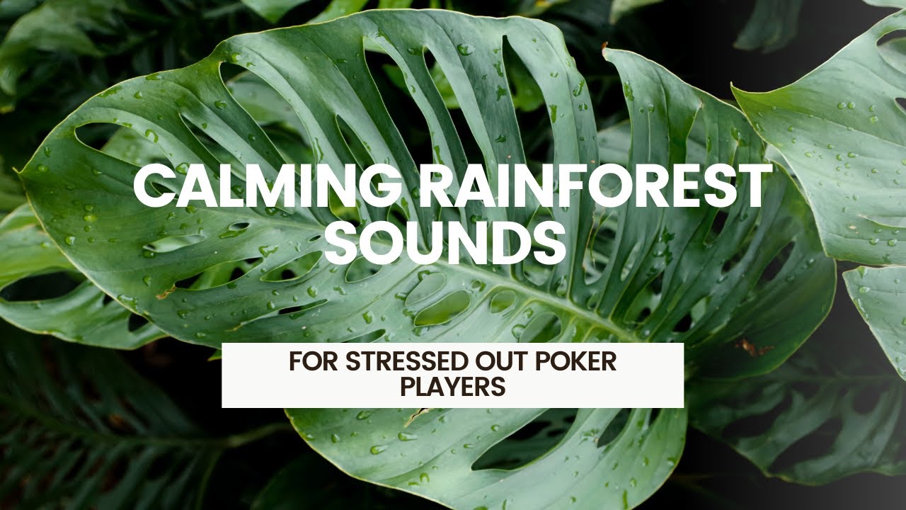 Calming Rainforest Sounds for Poker Players - Relax and Recover After Stressful Sessions
