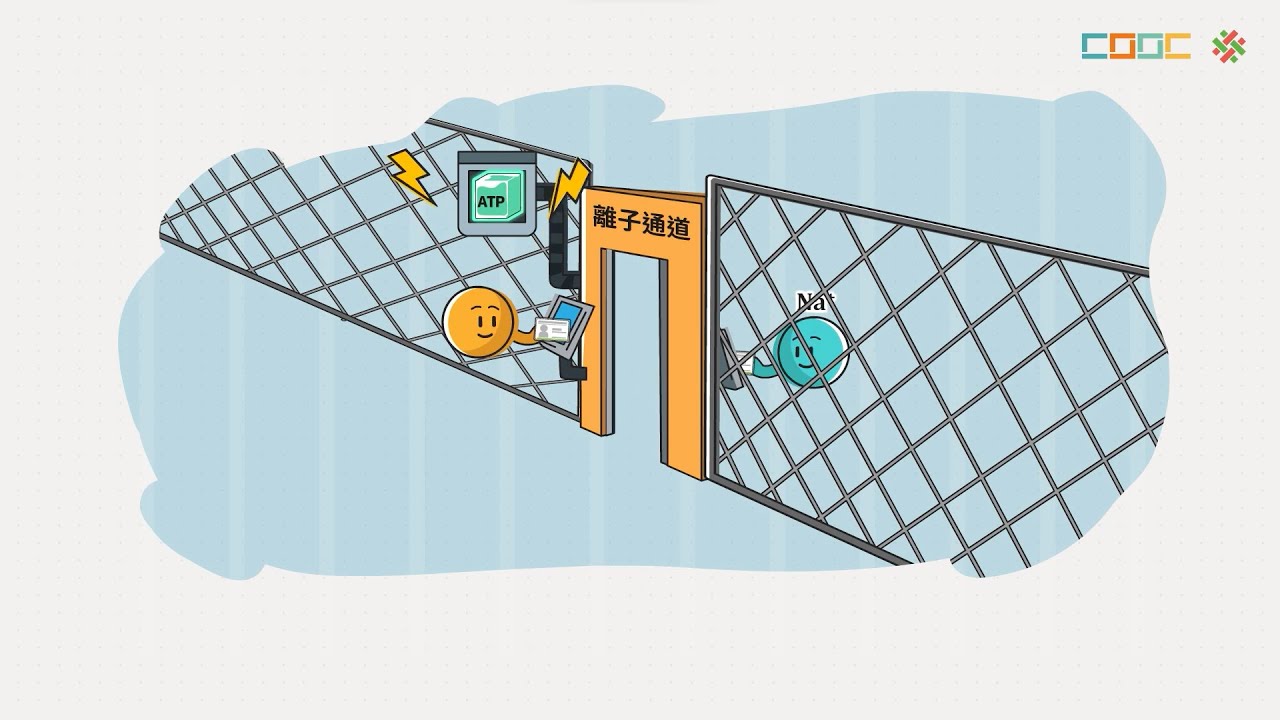 108新課綱｜高一生物｜ATP的結構與功能