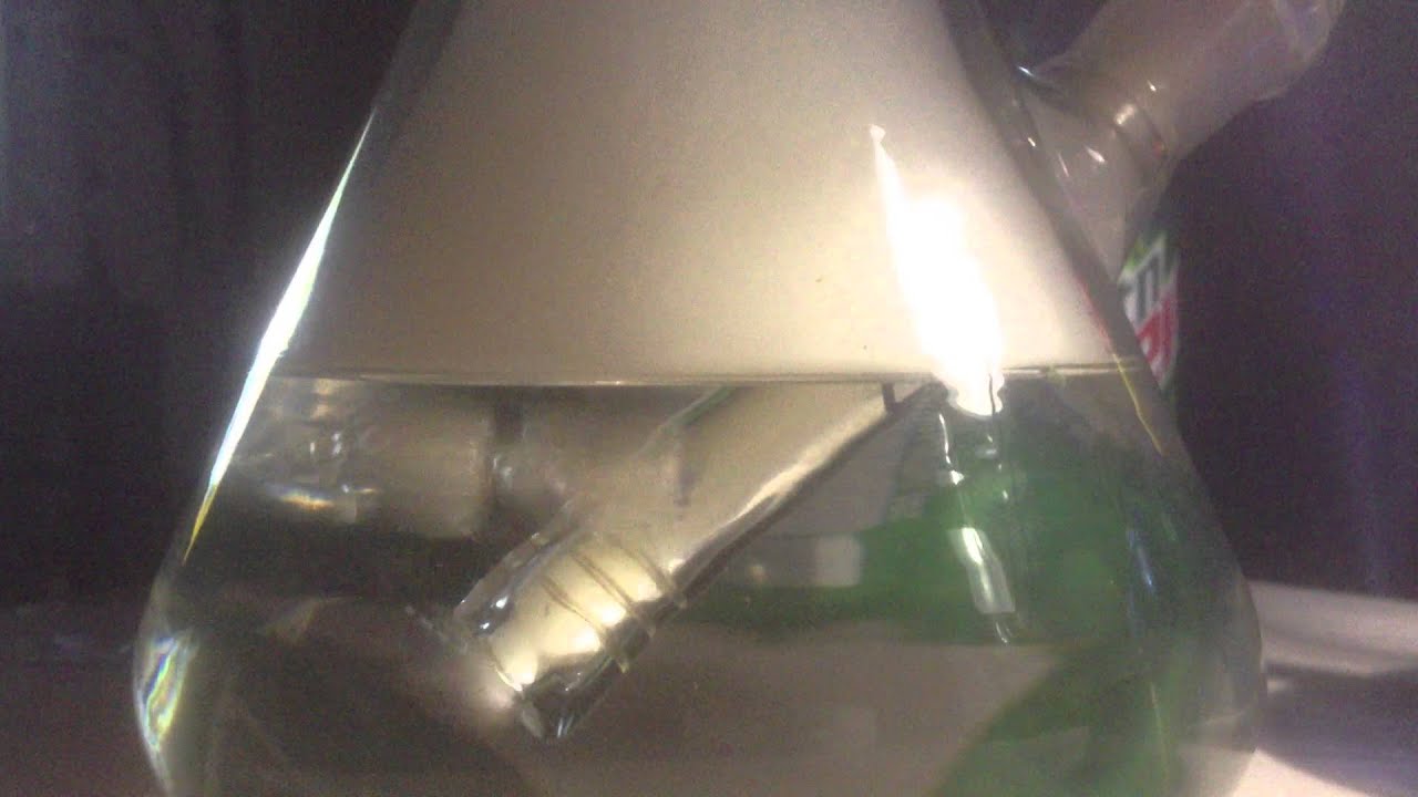 New 2 Tree Perc Rip