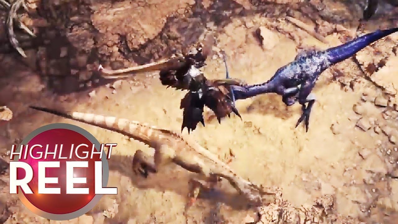 Highlight Reel #370 - Monster Hunter Player Kills Two With One Blow