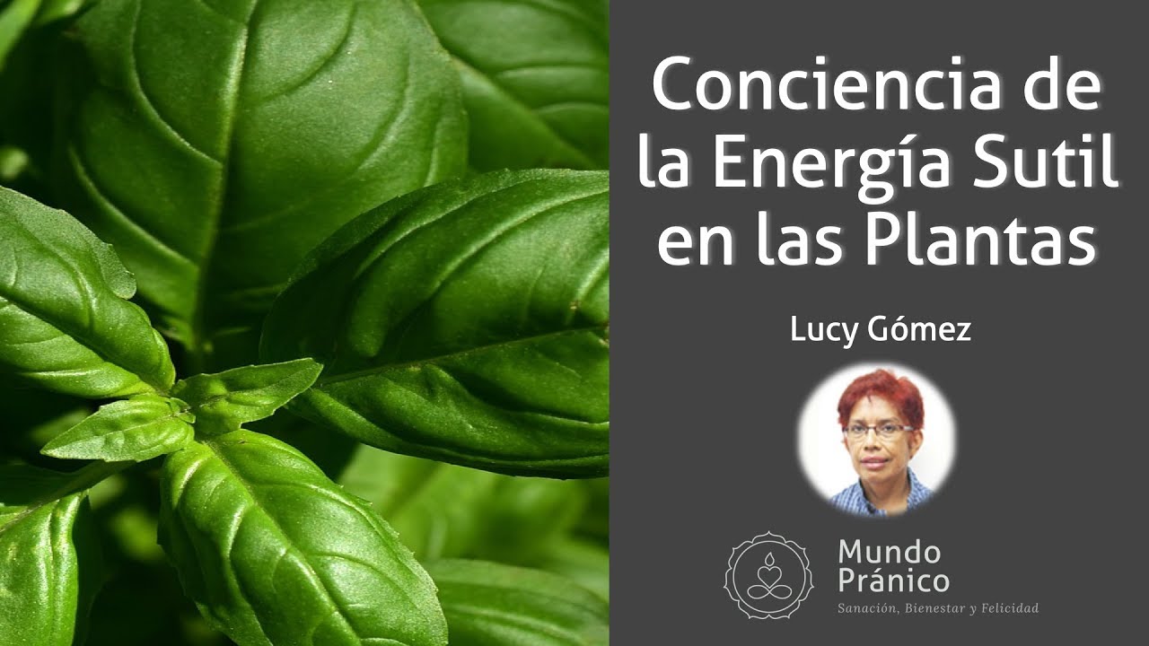 🌍 Conciencia de la Energ&iacute;a sutil en las Plantas con Lucy Gomez &middot; MUNDO PR&Aacute;NICO 🌍