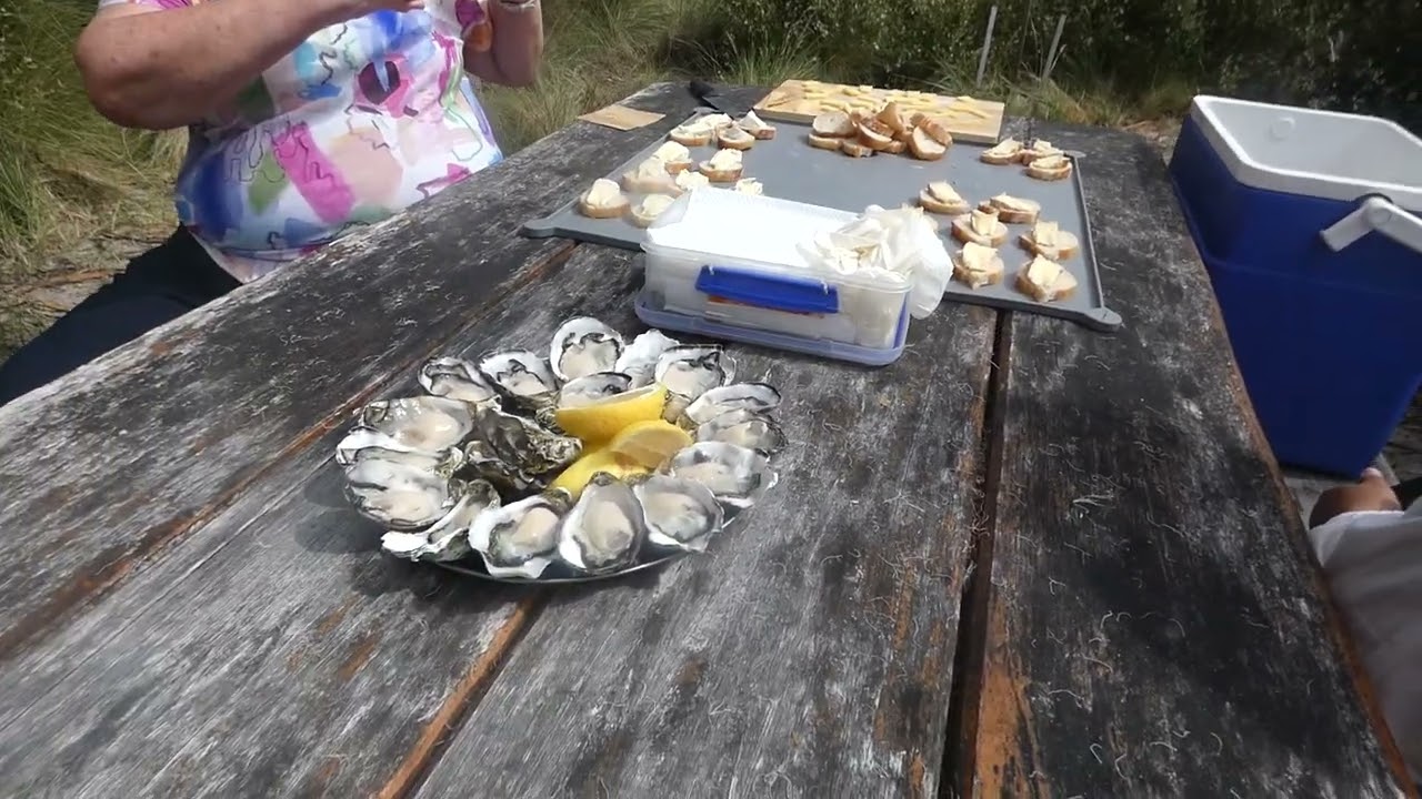 Oysters and Cheese Platters at Bruny Island Tasmania