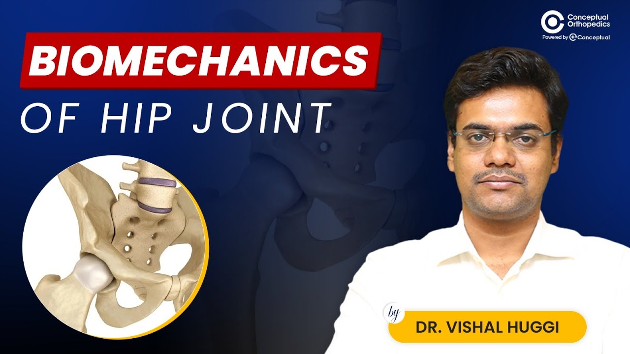 Hip Joint Biomechanics Explained Simply by Dr. Vishal Huggi | Conceptual Orthopedics