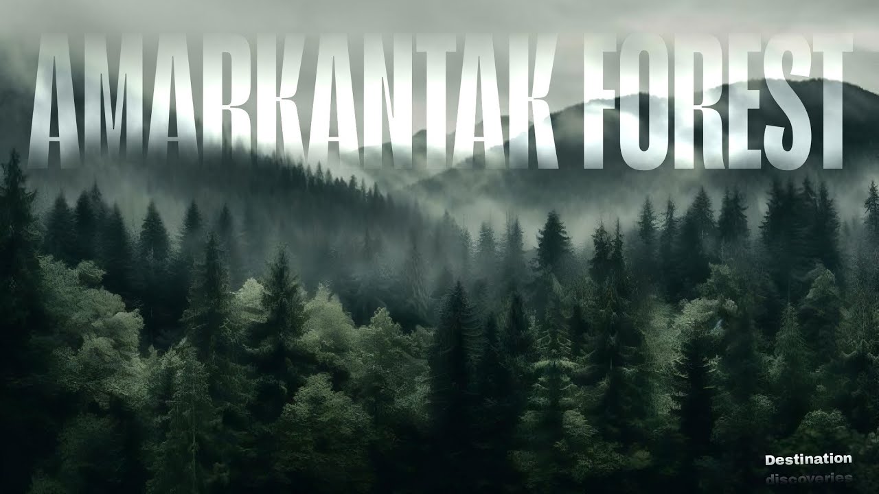 Amarkantak 🌳🌲🌴