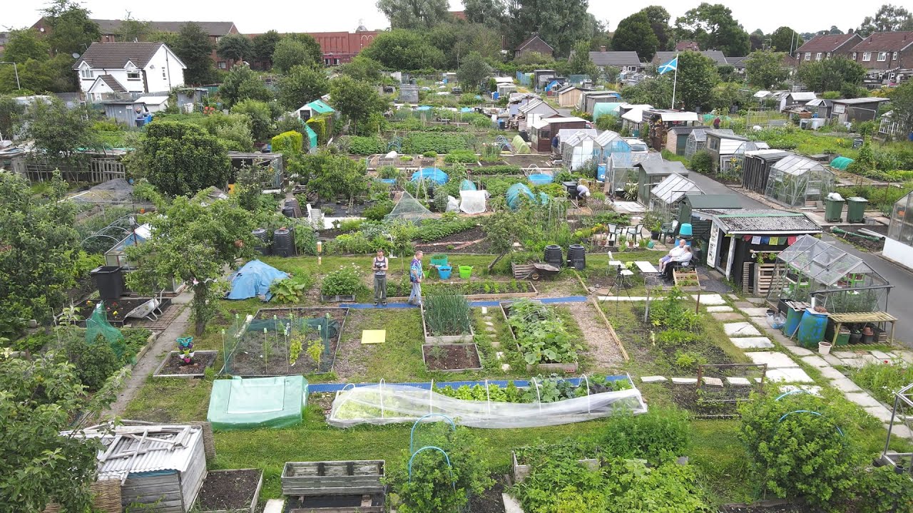 Vlog 29 - Our Allotment Adventures - Eye in the Sky