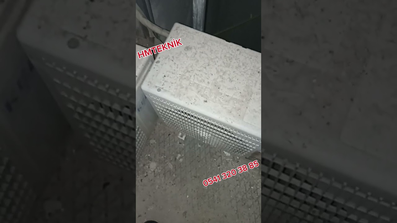 kedi 🐱 gibi çatılarda kilima kovaladım hamdolsun bitti