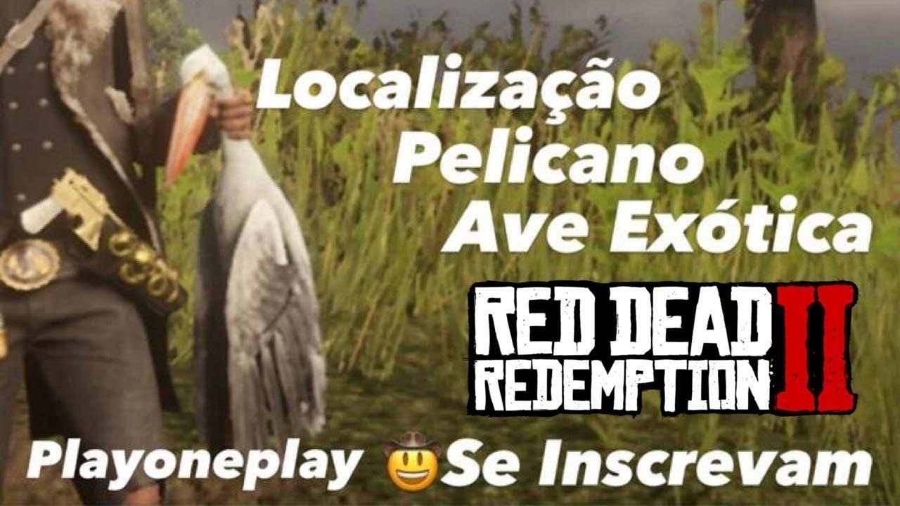 Localiza&ccedil;&atilde;o Pelicano (AVE EX&Oacute;TICA)  - Red Dead Redemption 2 - Desafio Di&aacute;rio - XboxOne, Ps4 e Pc!