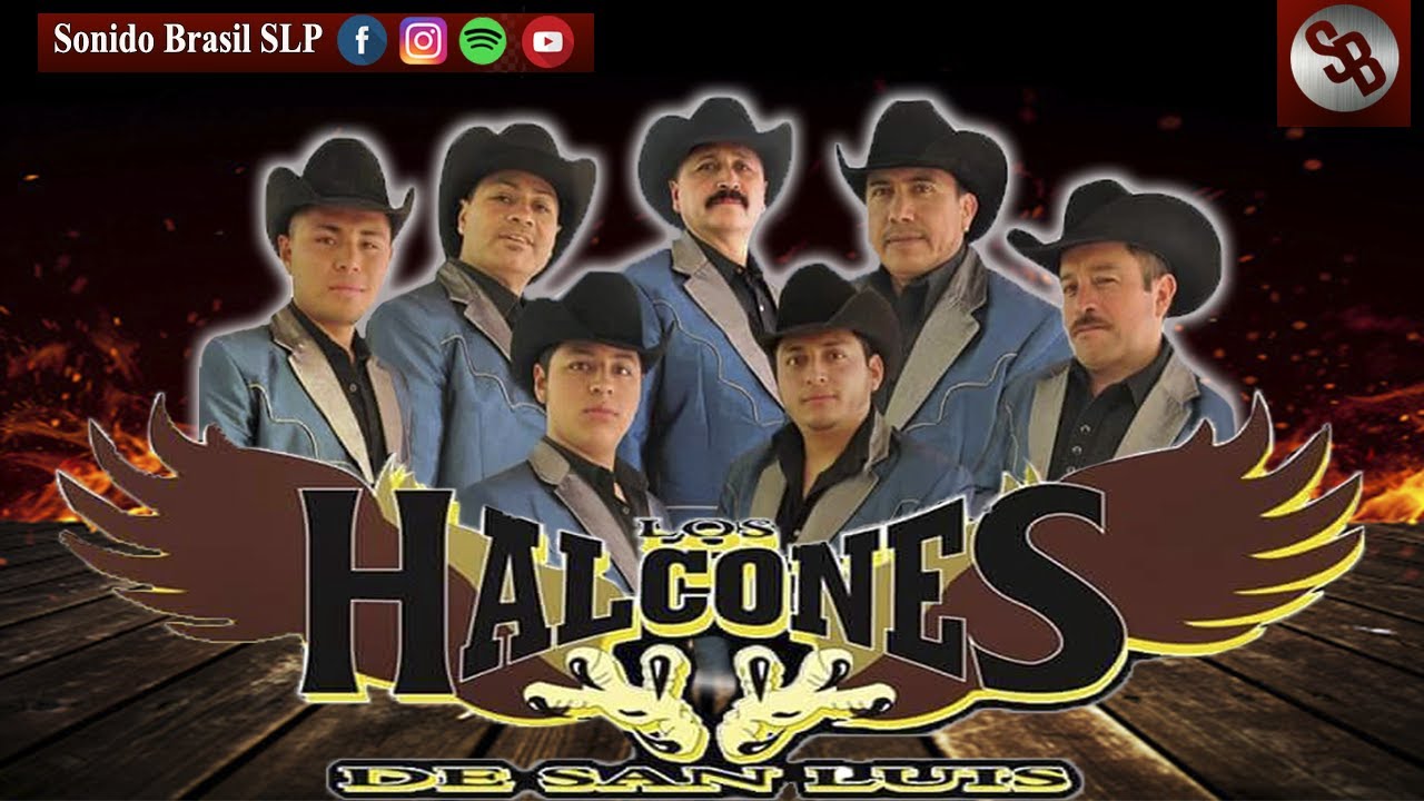 Mix Halcones De San Luis🎶 - Los Mejores Exitos [Sonido Brasil]🎶🎧