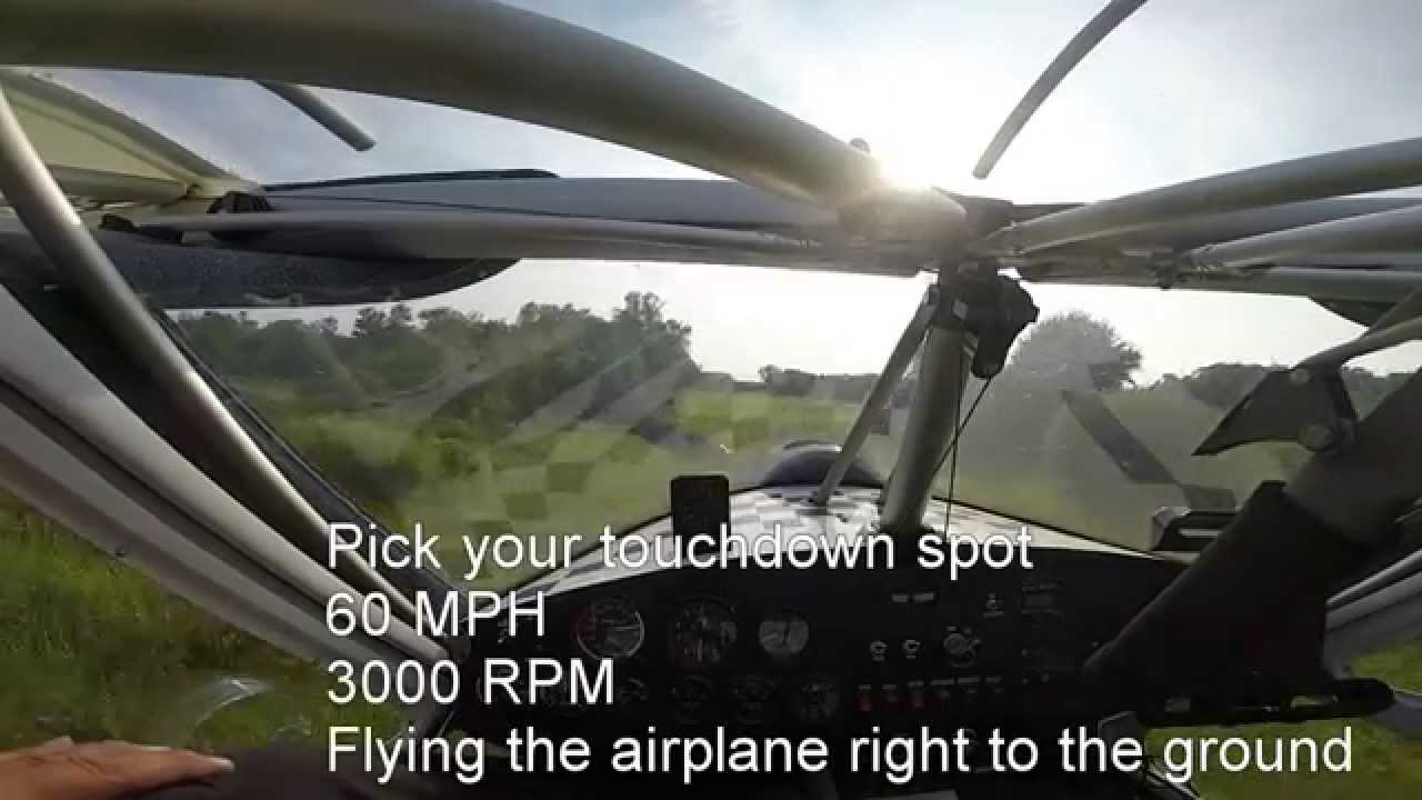 Bush Cat - You are flying it 20150712