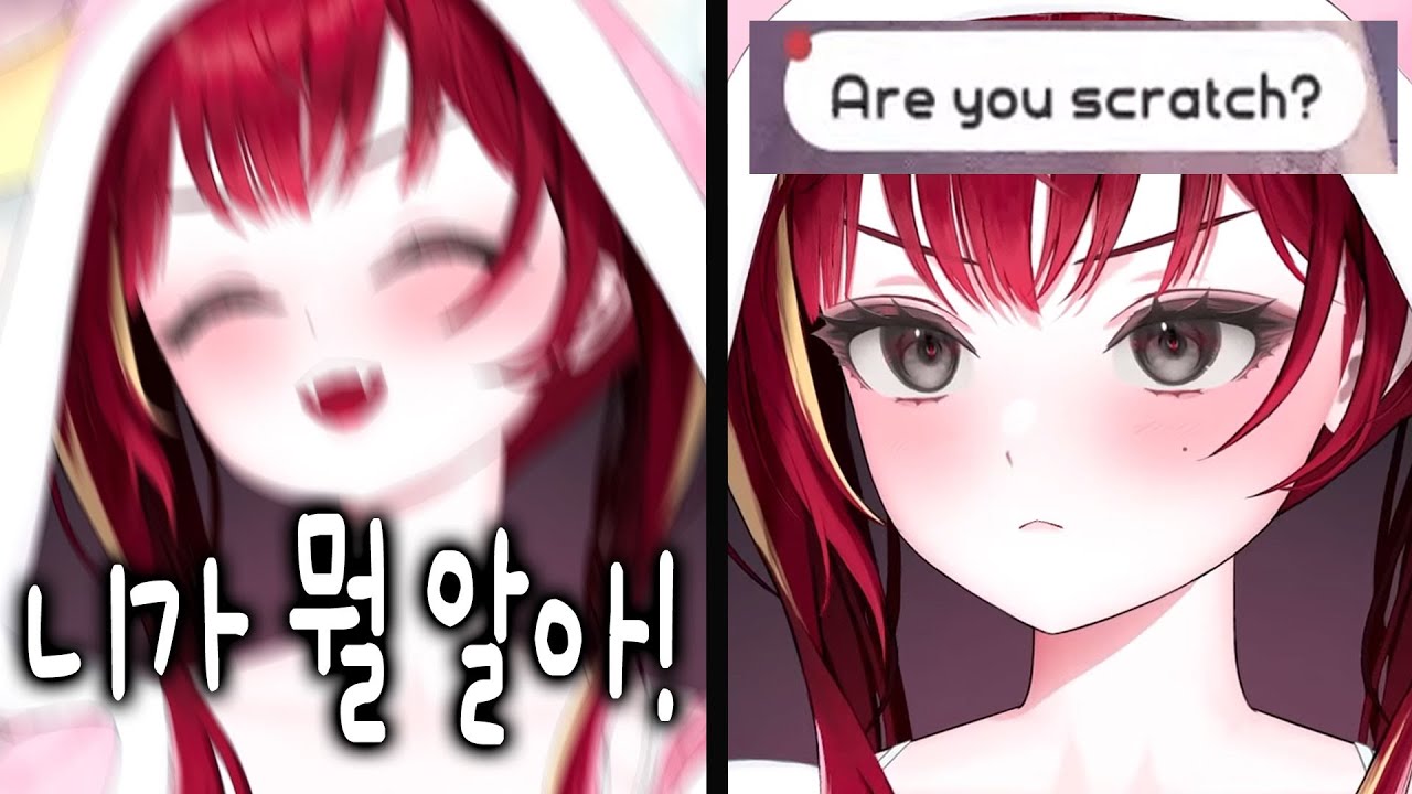 [리제] 시청자들이랑 싸우고 본전도 못 찾은 댕쳐귀여운 리제