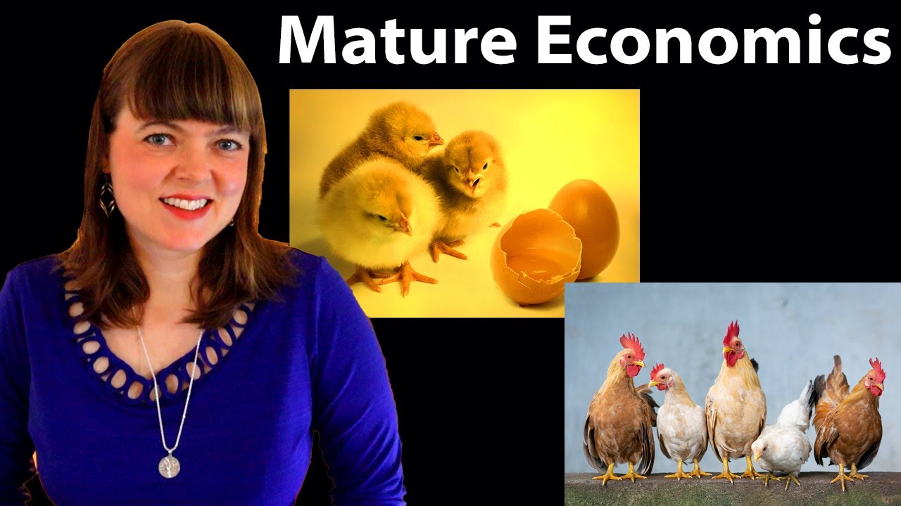 Mature Economics: Do economists really think everyone is selfish and “fully rational”?