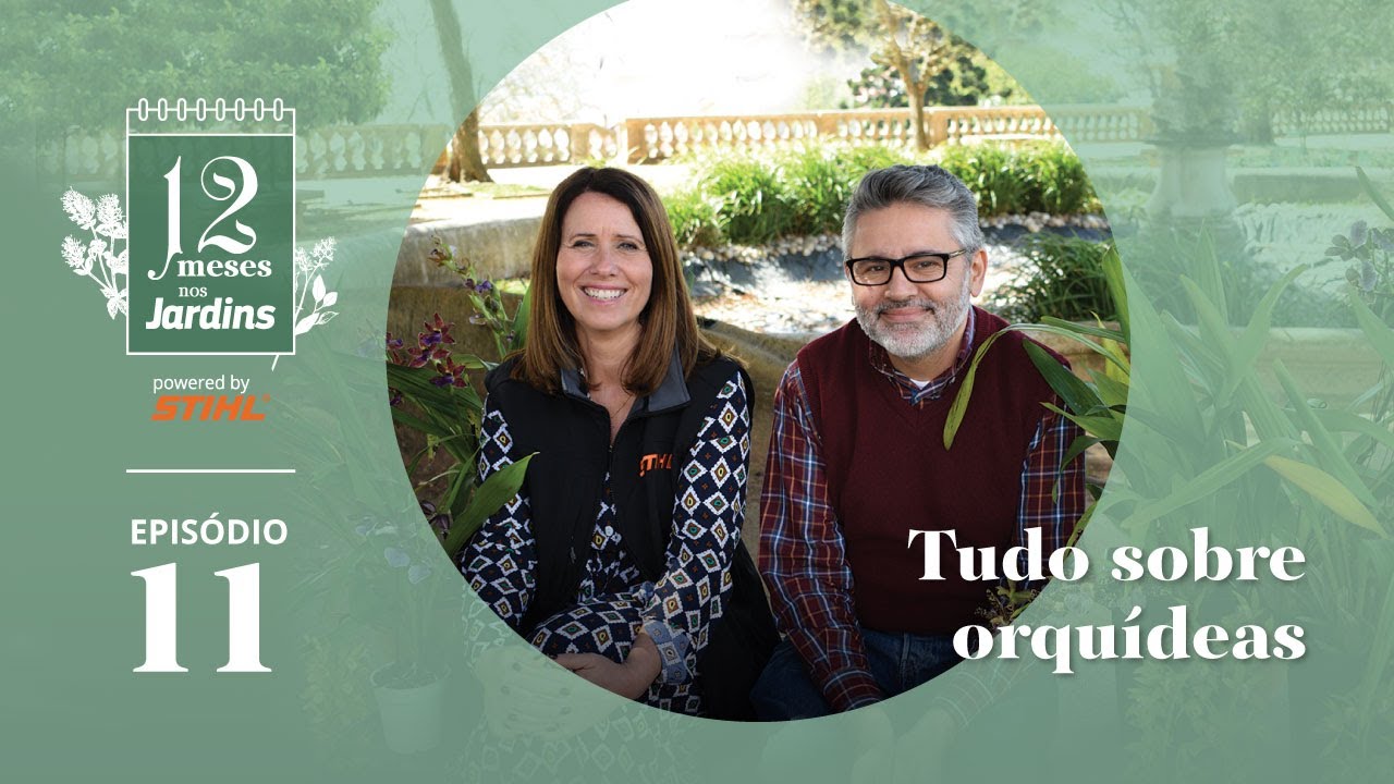 12 Meses Nos Jardins: Tudo Sobre Orquídeas