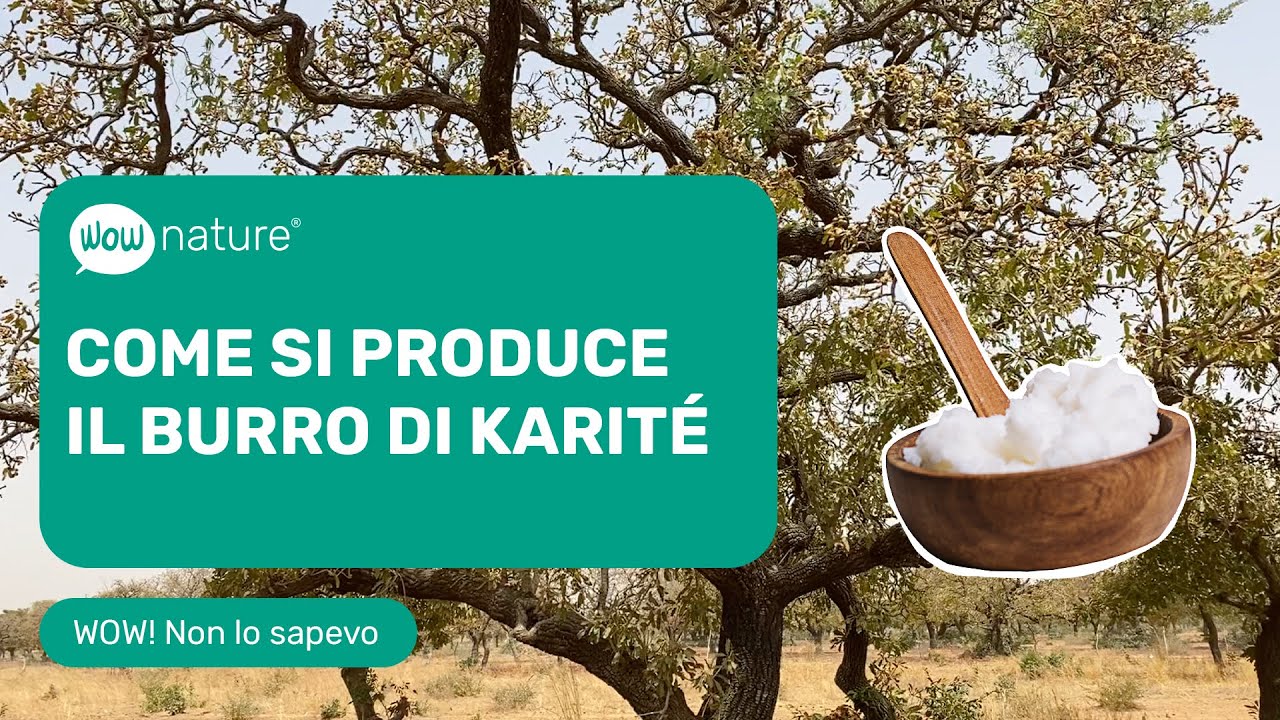 A cosa serve il BURRO DI KARIT&Eacute;? benefici e processo completo dal Burkina Faso