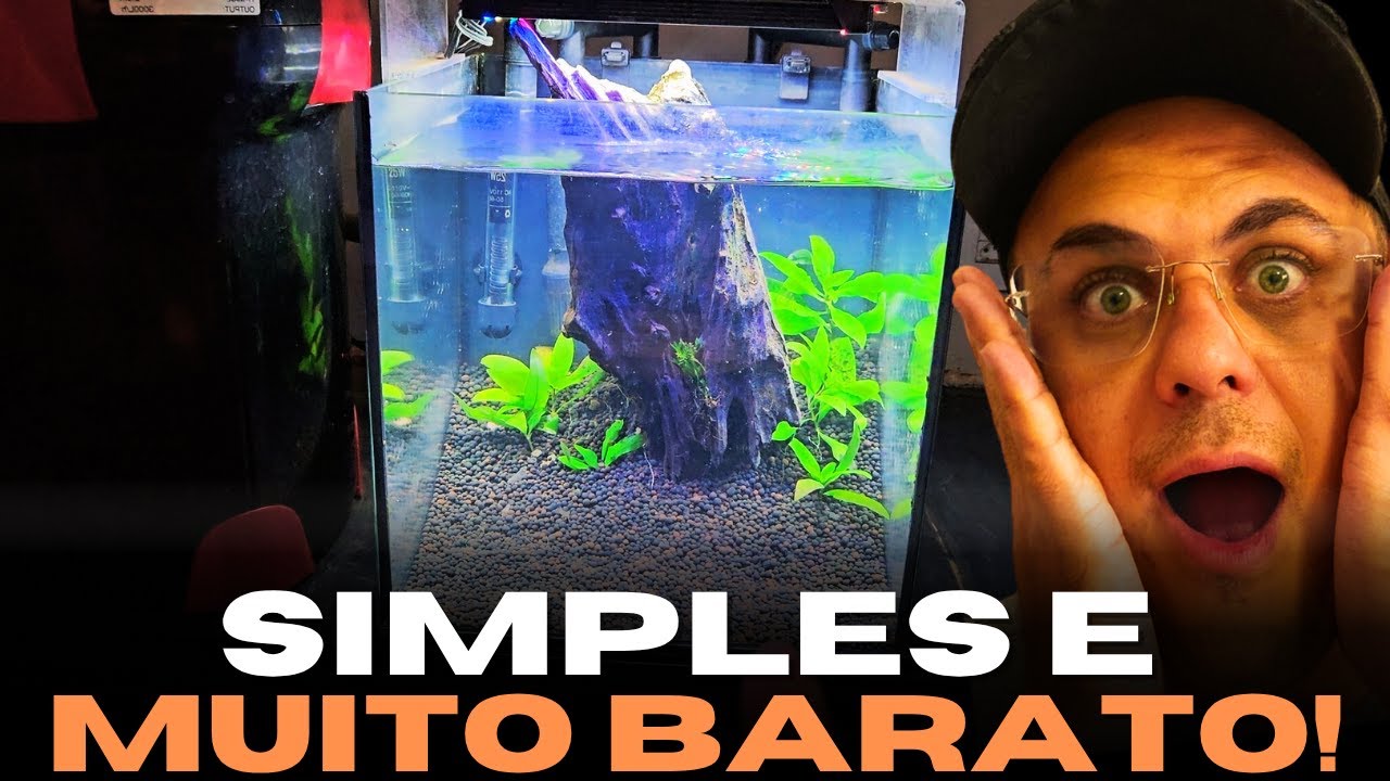 MONTANDO MEU PRIMEIRO AQUÁRIO! Dicas Imperdíveis para Iniciantes