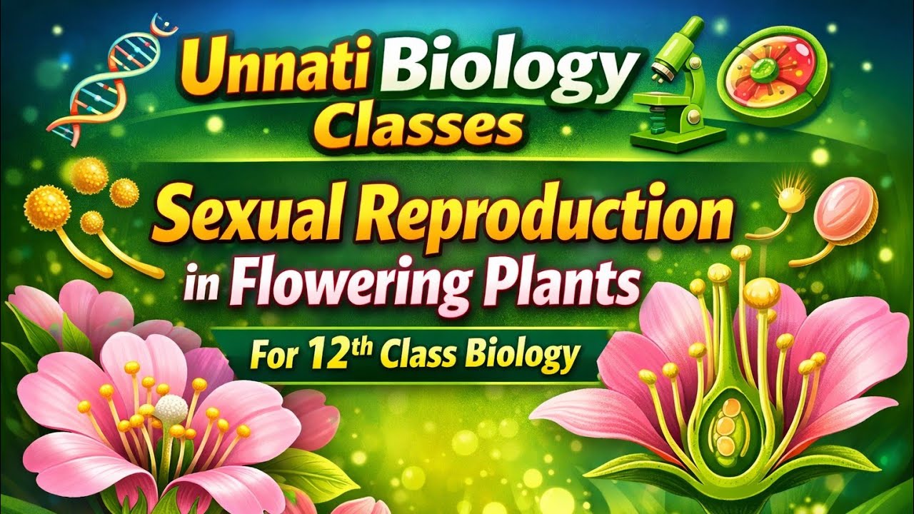 Sexual Reproduction in Flowering Plants animated video in hindi