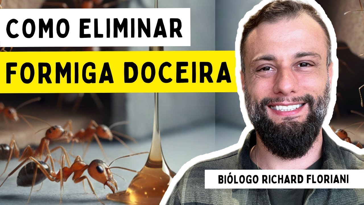 🐜 COMO ACABAR COM FORMIGAS DOCEIRAS (O Guia Definitivo do Biólogo)