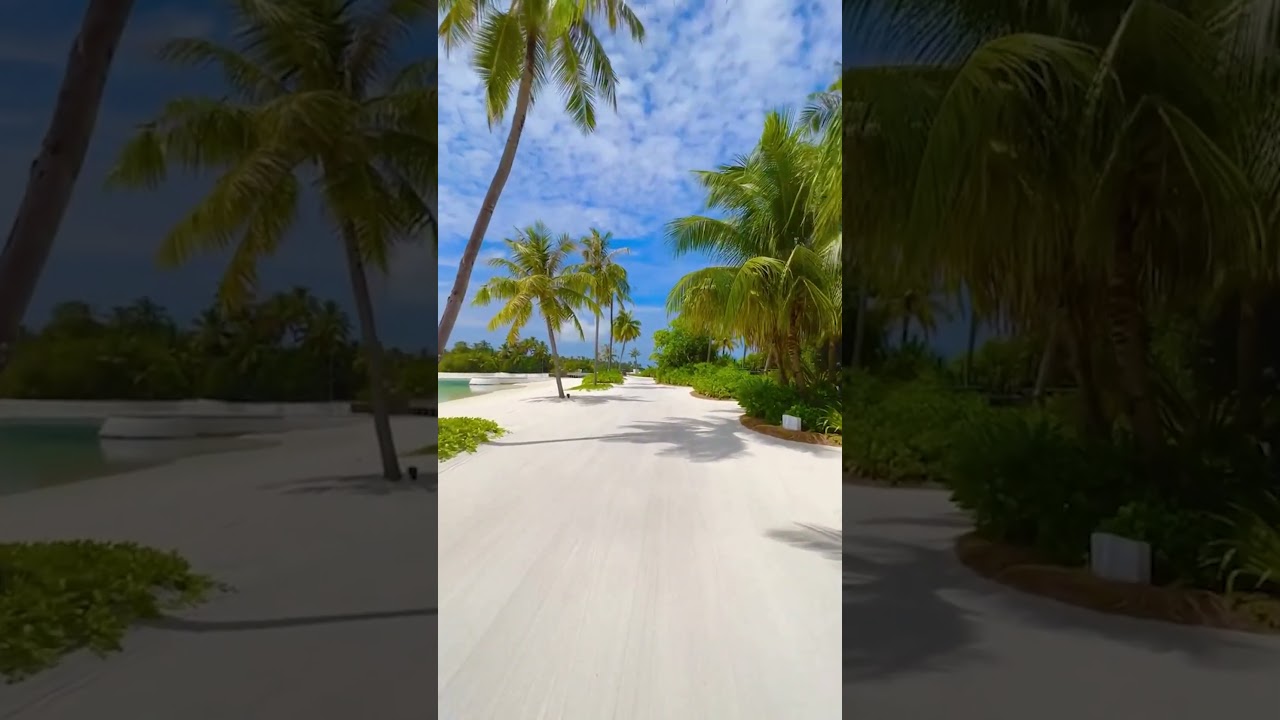 Musique de Relaxation de mer turquoise, Magnifique plage paradisiaque #shorts #beachvibes