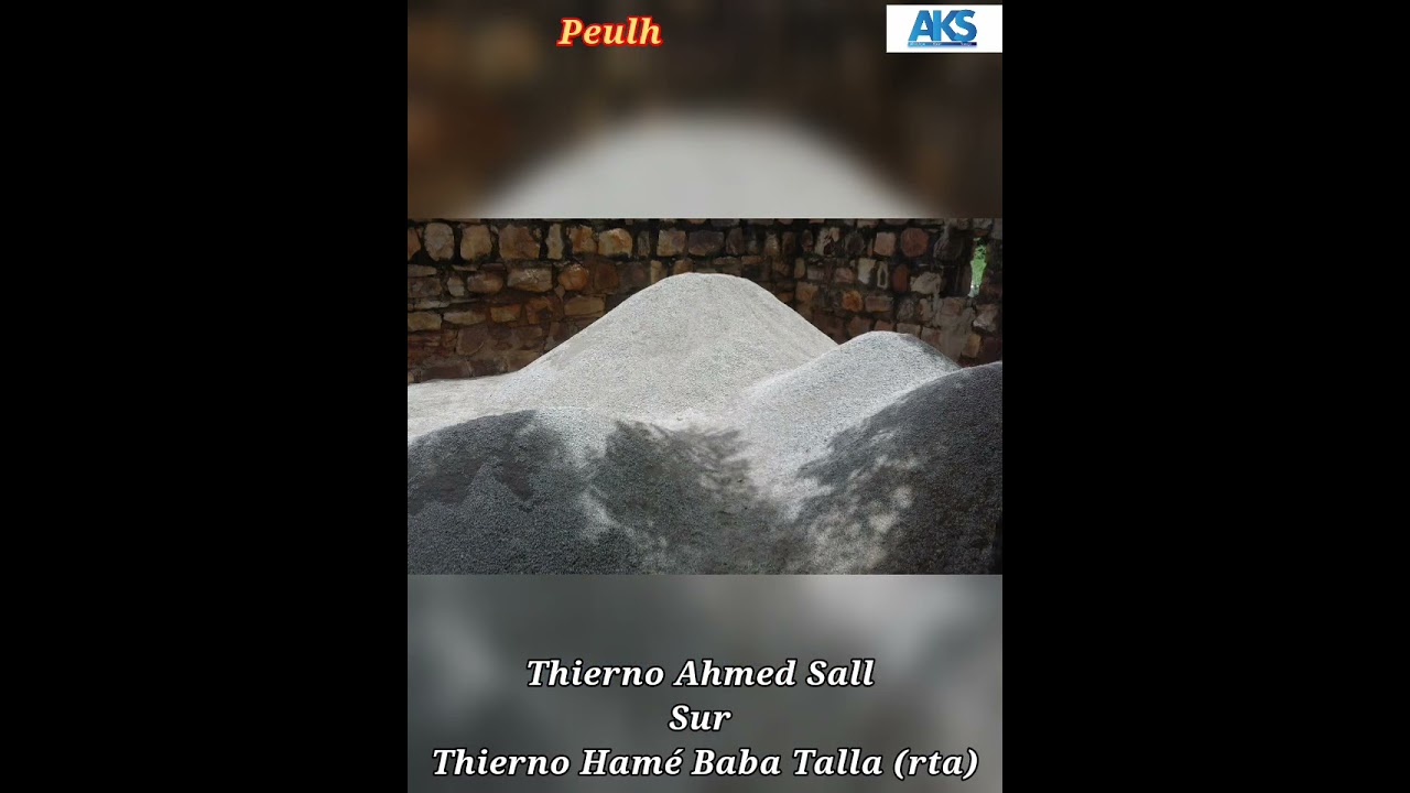Thierno Ahmed Sall sur Thierno Hamé Baba Talla (rta)