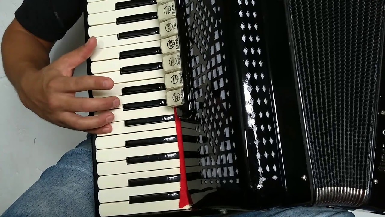 Vídeo aula acordeon Rindo a toa 