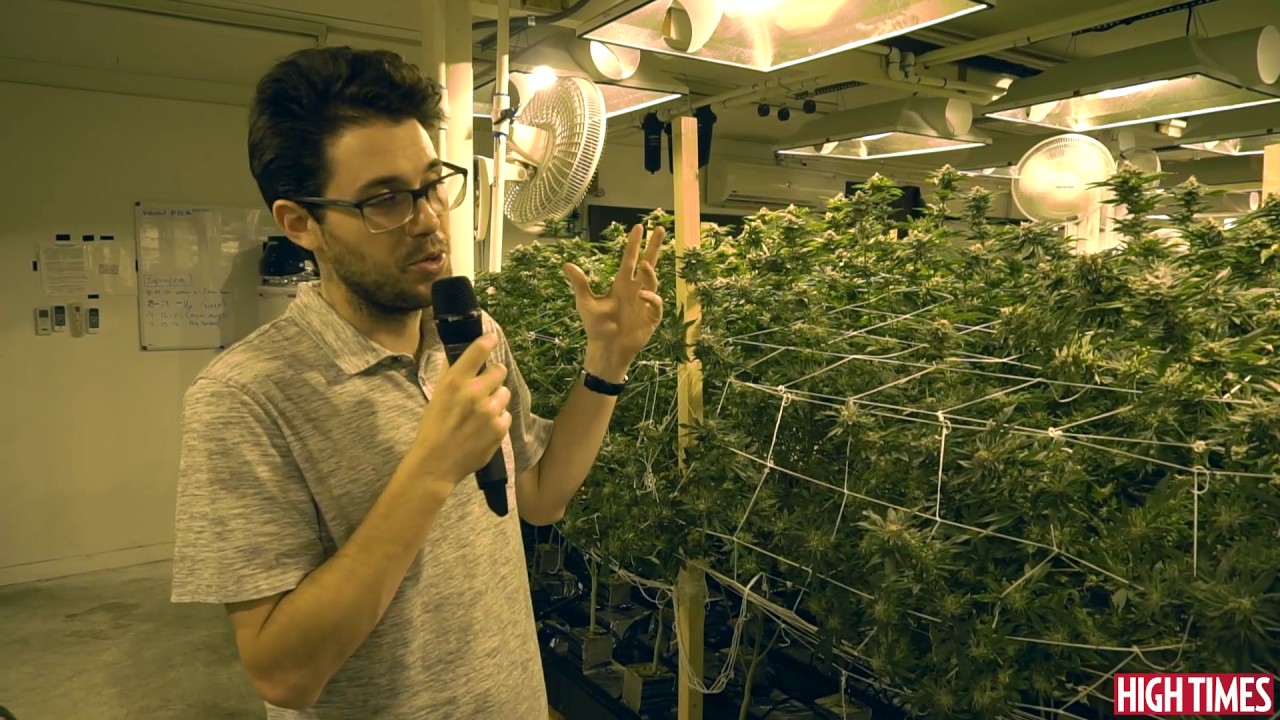 Cali Connection Grow Tour