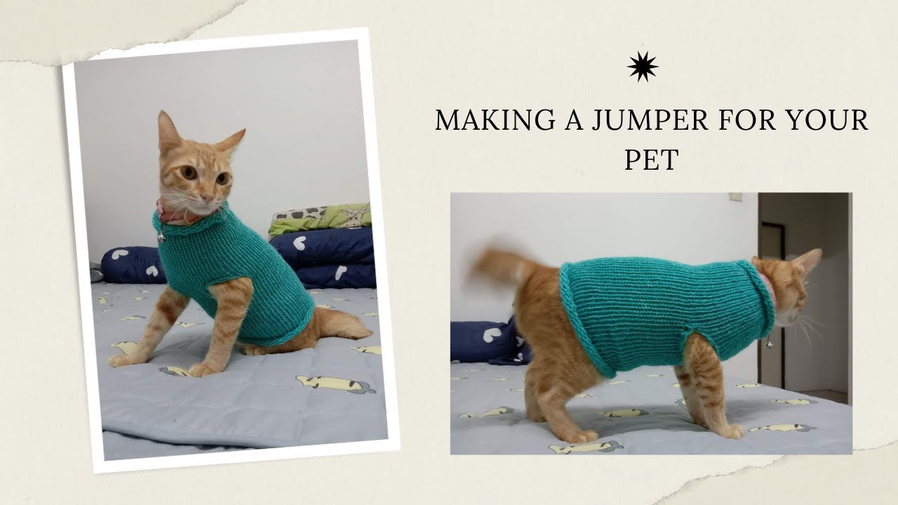 How To Make A Pet Jumper Using A Circular Knitting Machine