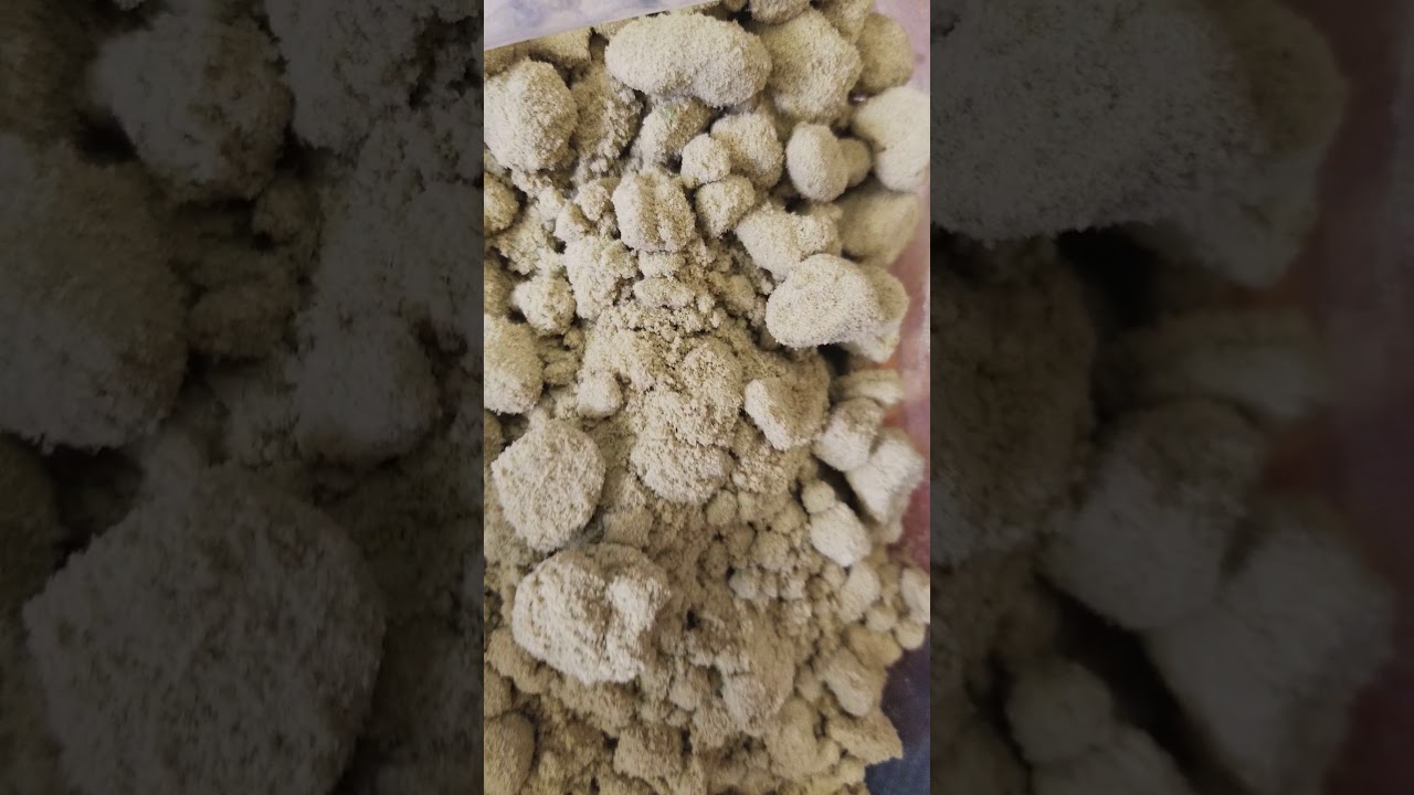 Ganja Gold _ Doc OG Keif