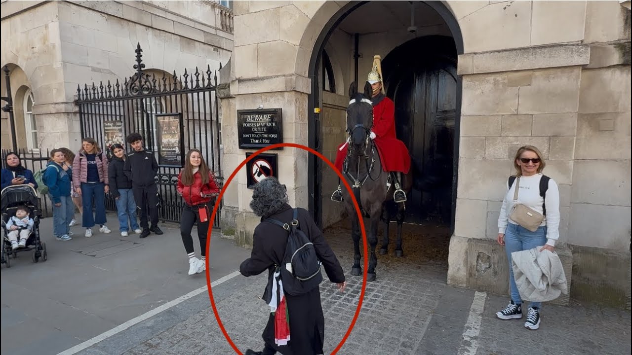 “Rule Breaker! 🚷 Woman Walks into the White Box, Ignoring the Guard’s Warning!”