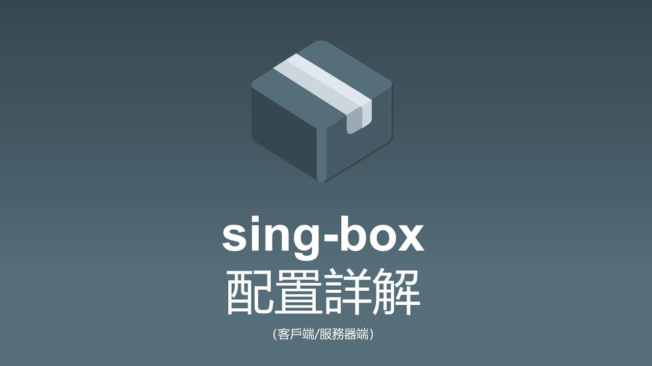sing-box配置詳解 | 客户端服务器端配置 | 自行配置