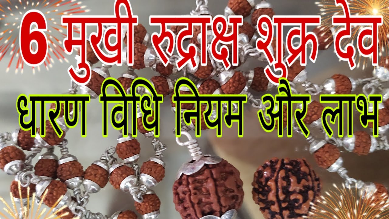 6 मुखी रुद्राक्ष, कौन ,कब ,कैसे ,किस समय धारण करें — Kundali ke liye details WhatsApp kre-8690021886