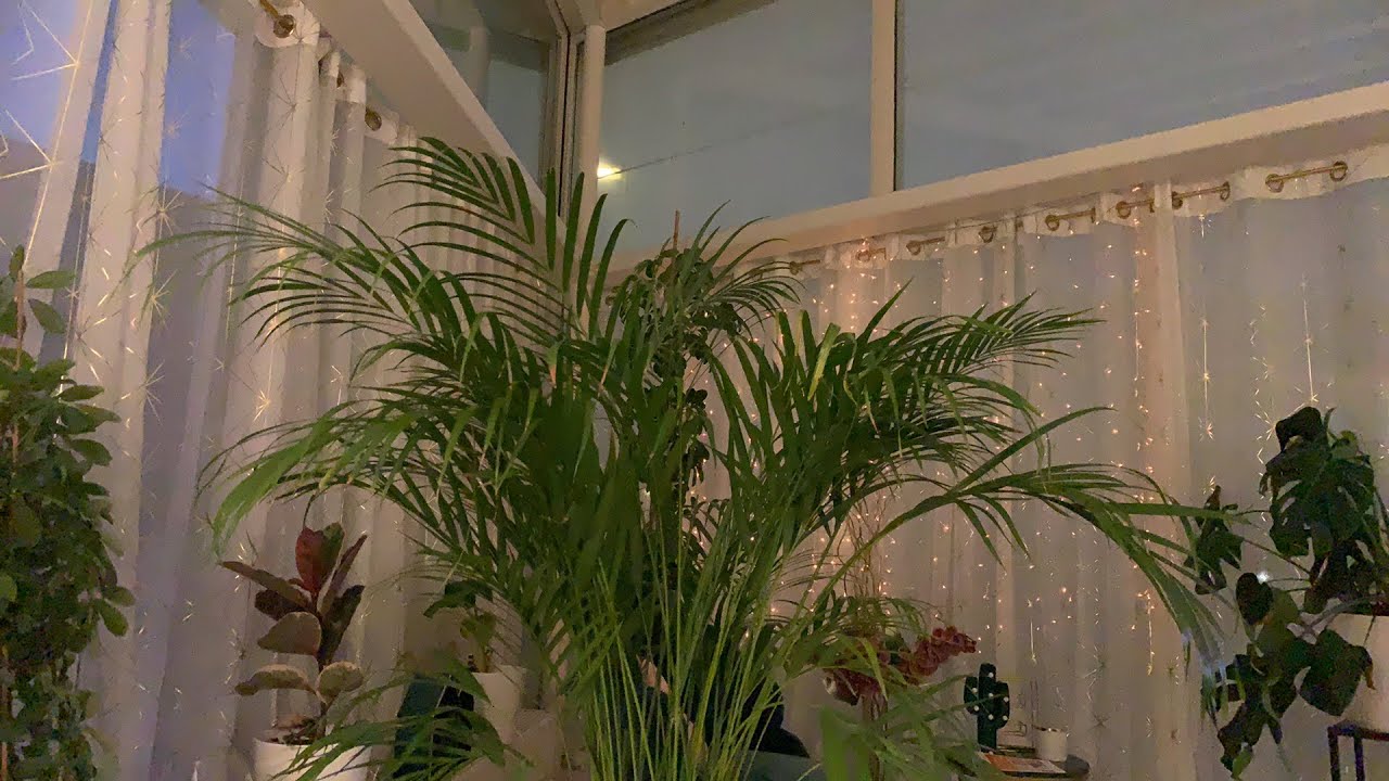 Soft spoken plant tour