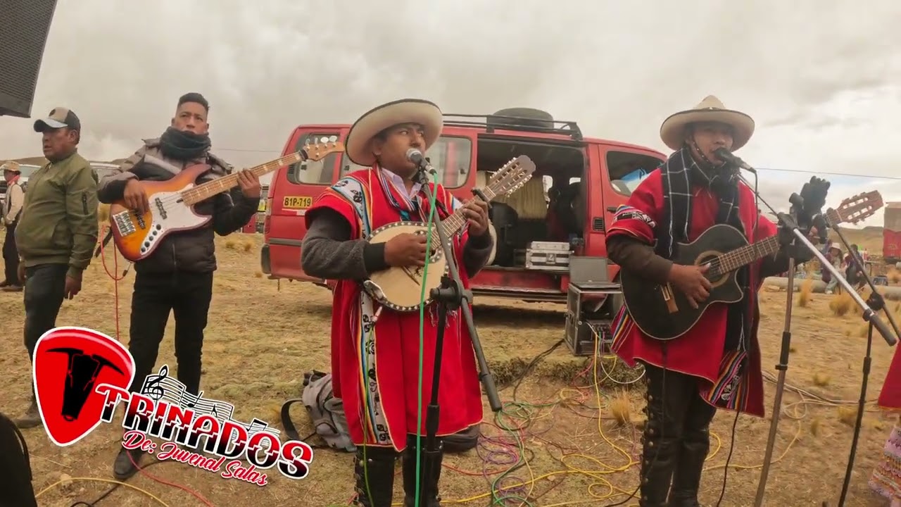 Sora de las punas - TRINADOS